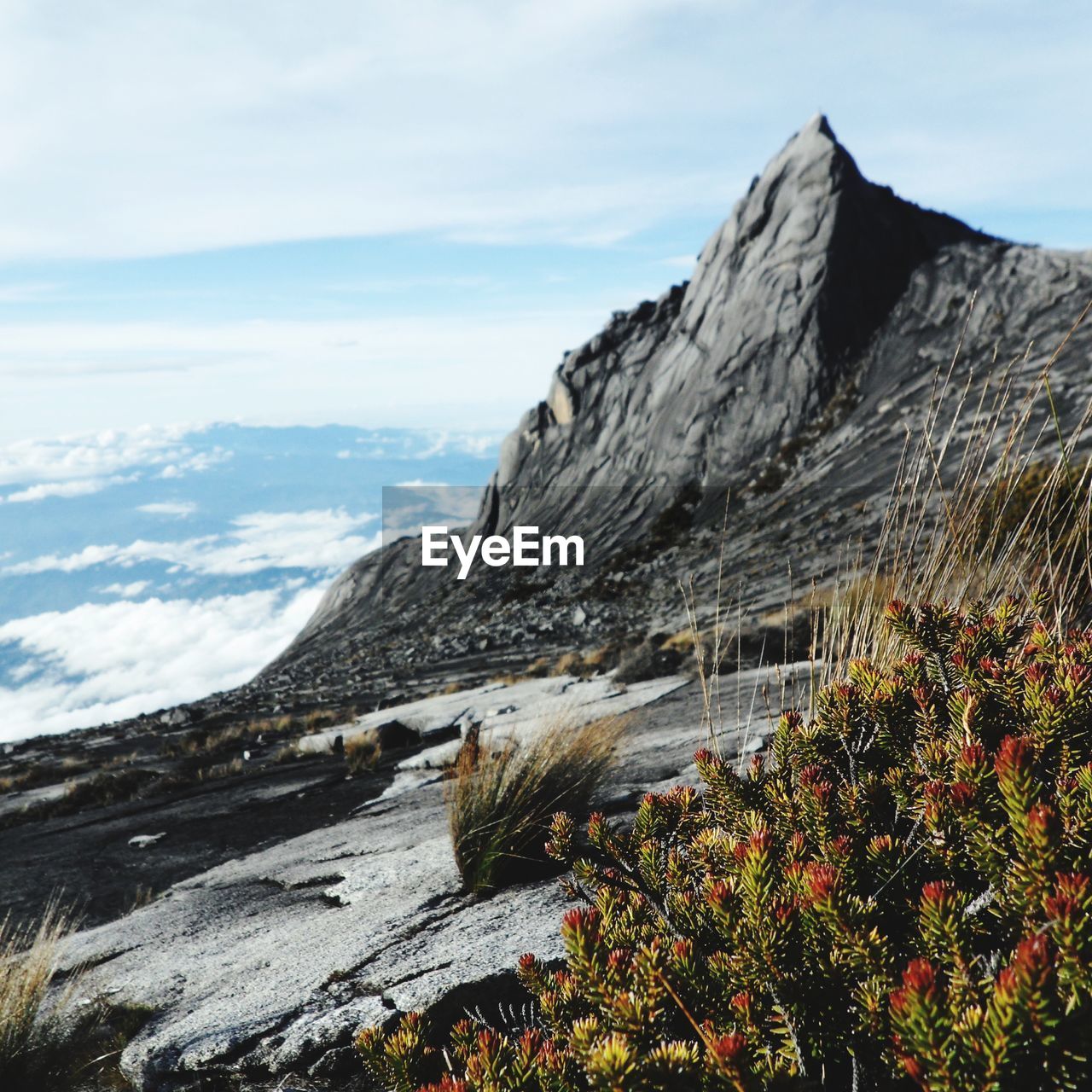 Mount kinabalu