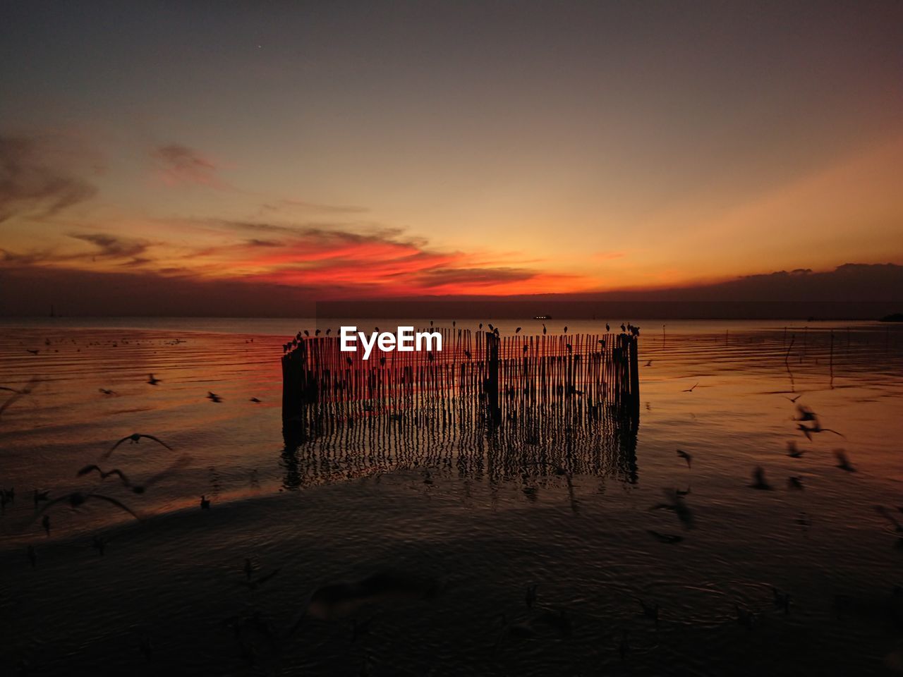 WOODEN POSTS ON BEACH DURING SUNSET