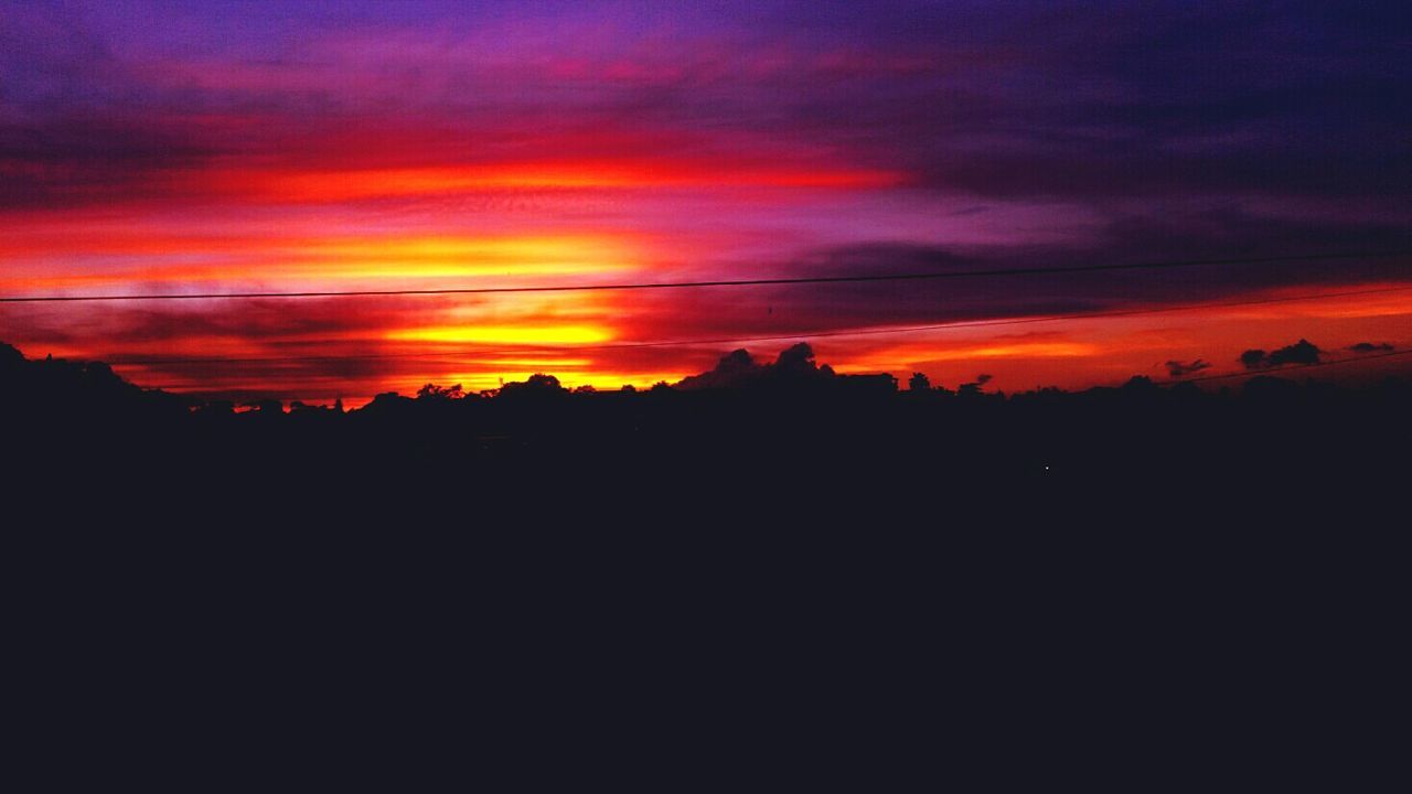 Silhouette trees against sky during sunset