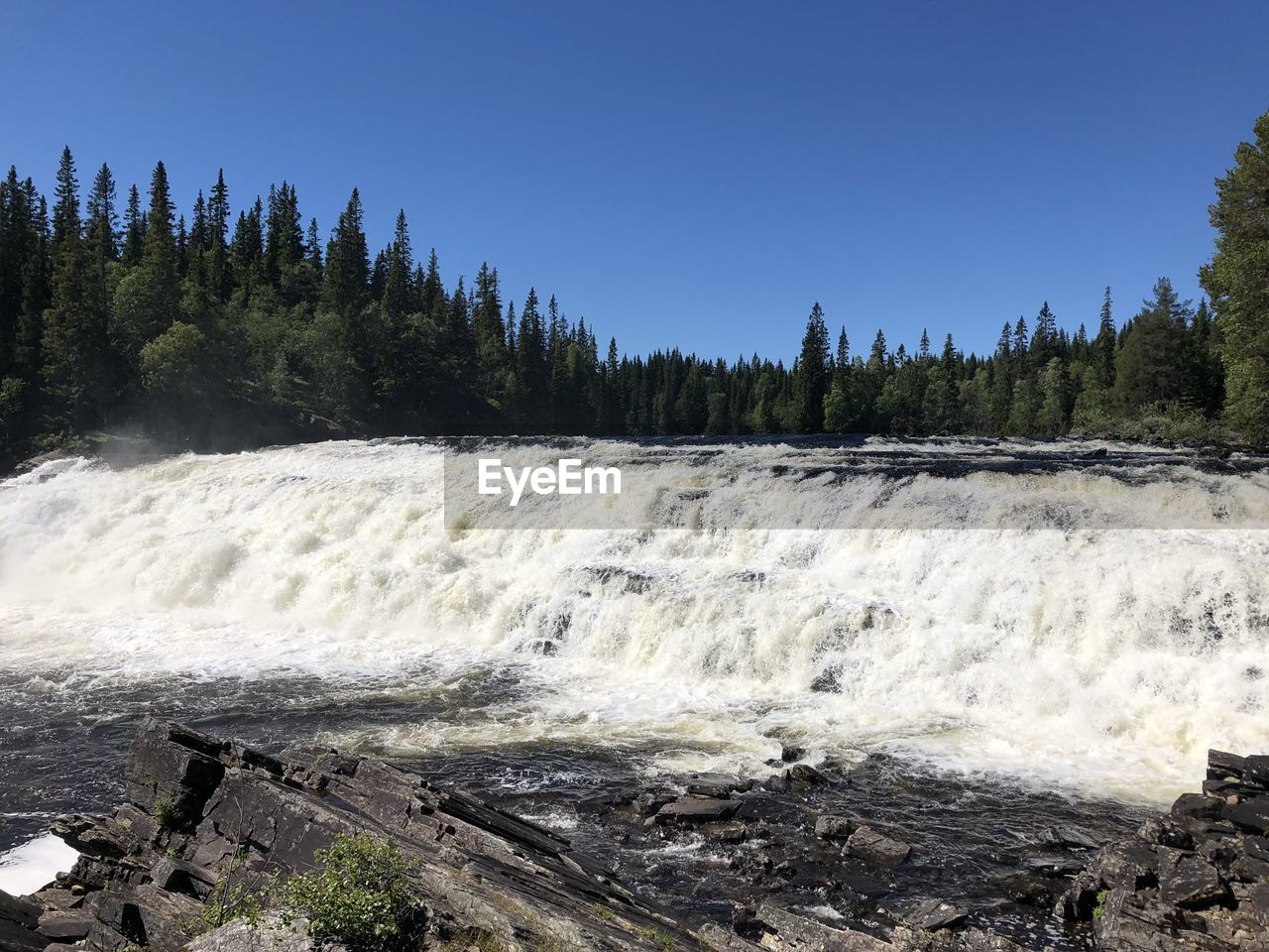 SCENIC VIEW OF WATERFALL AGAINST CLEAR SKY IN FOREST