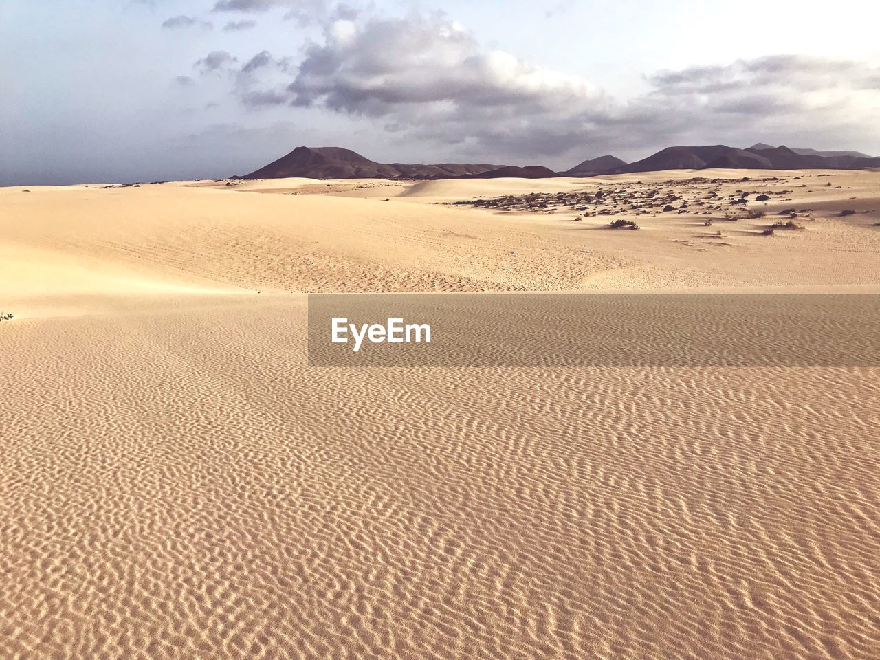 Sand dunes in desert against sky