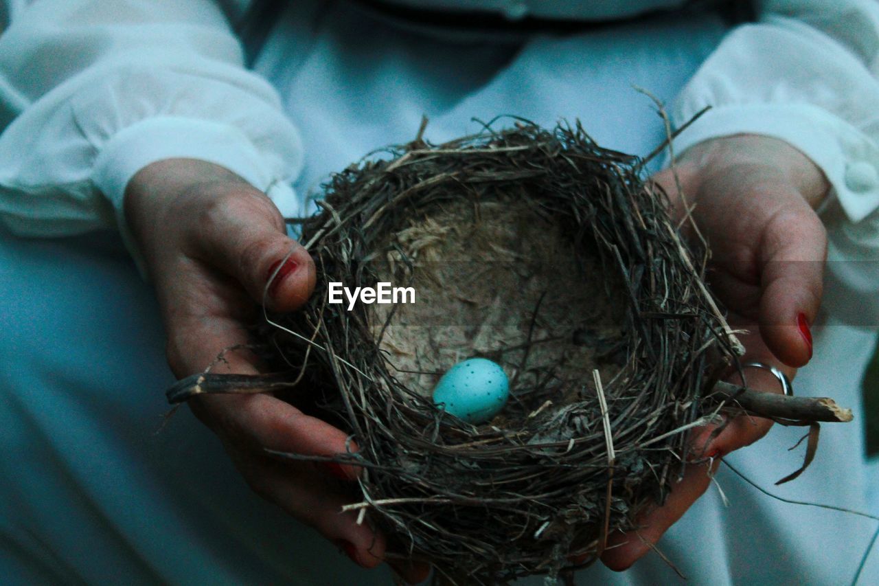 CLOSE-UP OF HAND HOLDING NEST