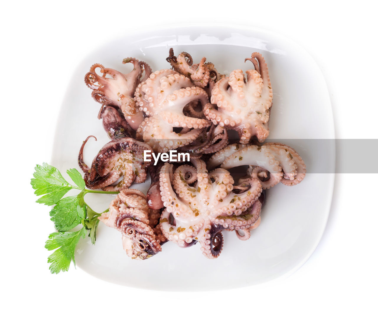 High angle view of octopus in plate on white background