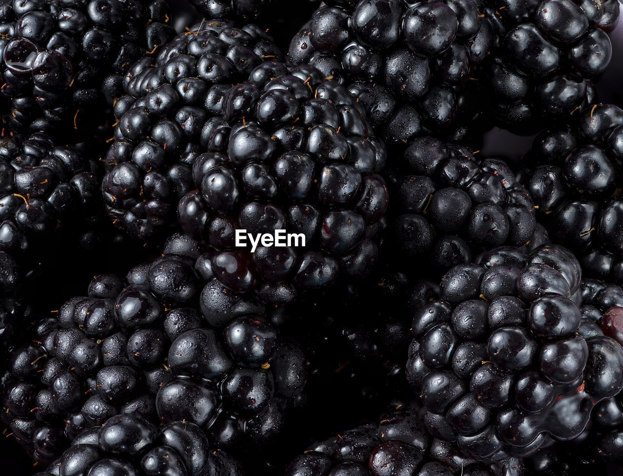 Many blackberries on a plate on a black background still life photography