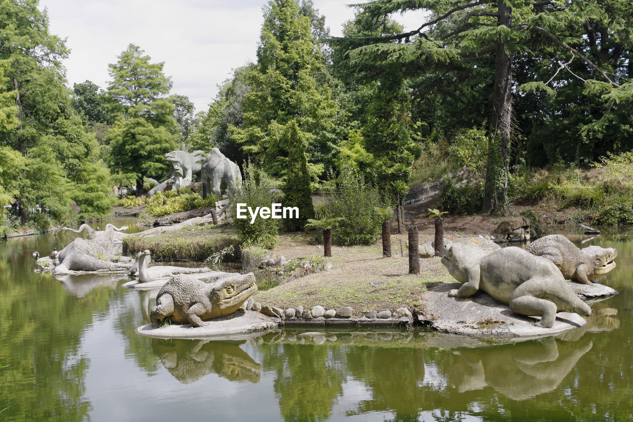 VIEW OF A LAKE IN A FOREST