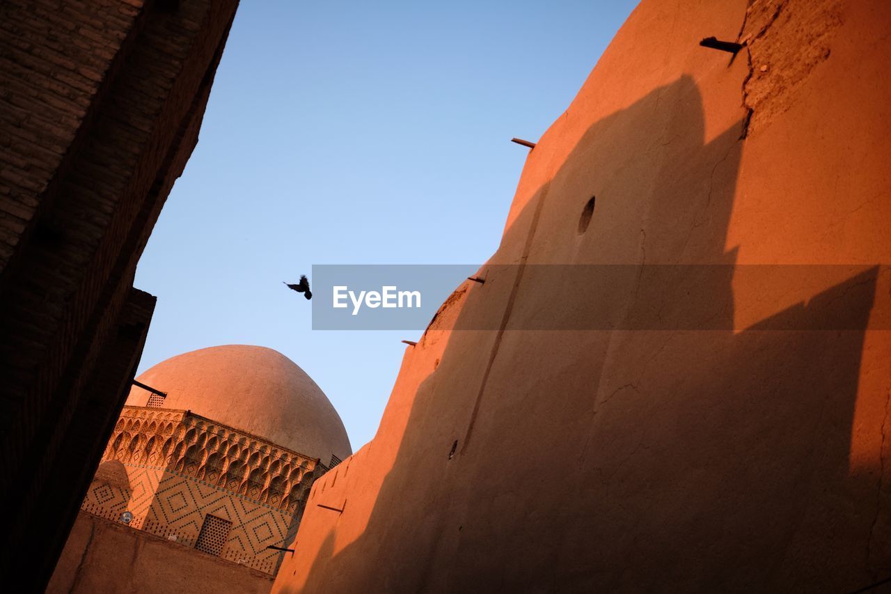 LOW ANGLE VIEW OF BIRDS FLYING IN BUILDING