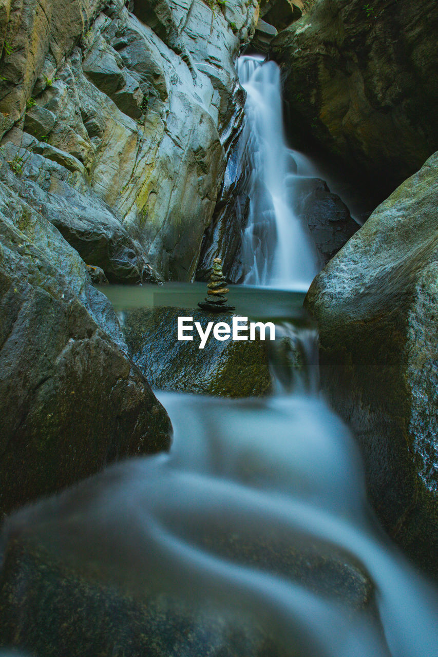 Scenic view of waterfall in forest