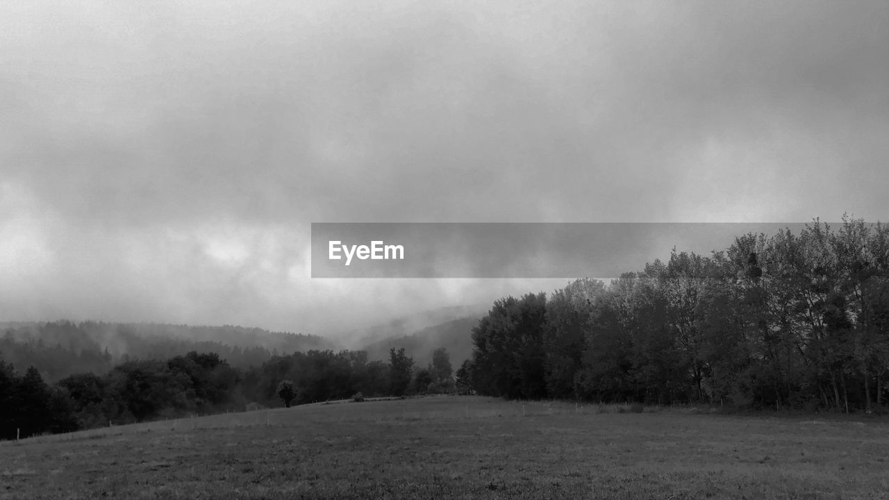 SCENIC VIEW OF TREES ON FIELD AGAINST SKY