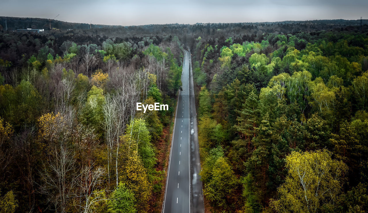 Panoramic view of road amidst trees in forest against sky
