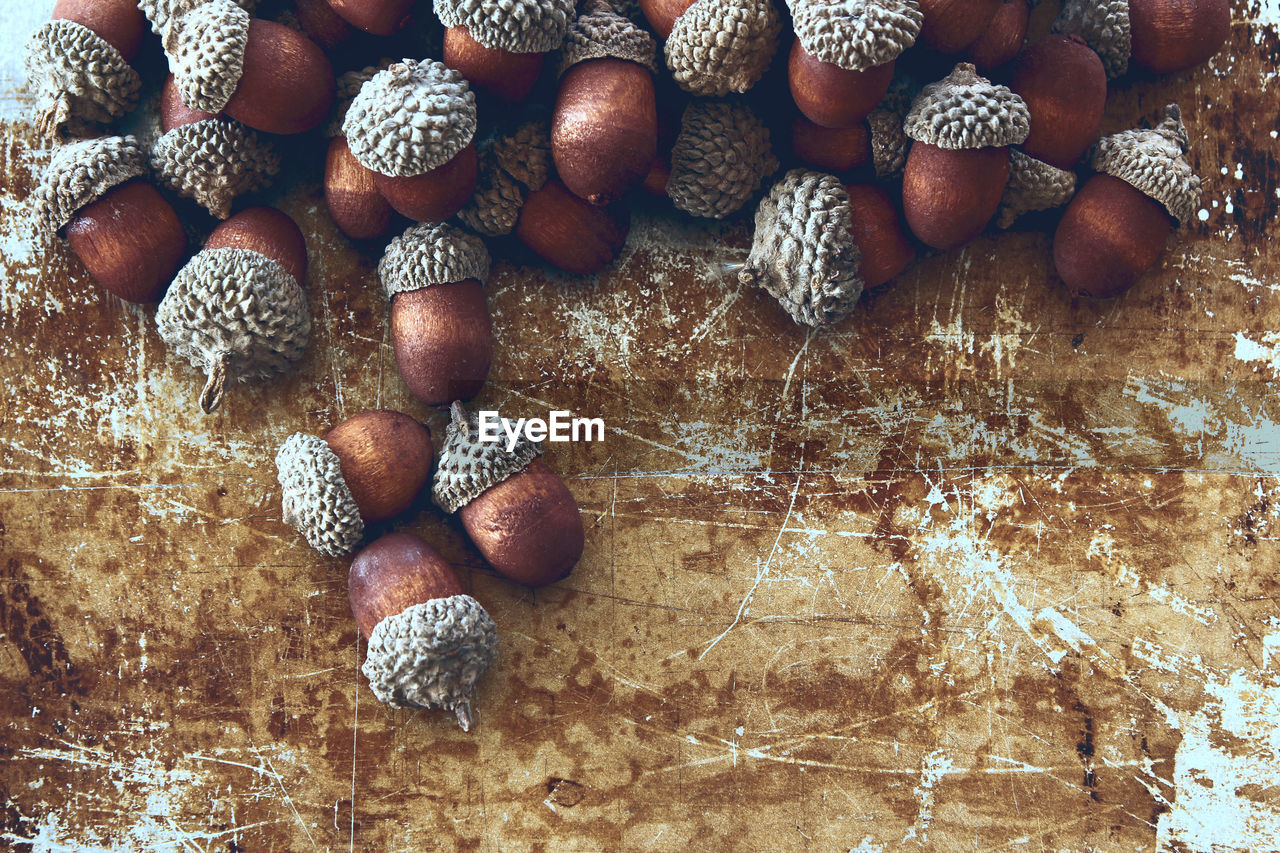 Directly above shot of acorns on table