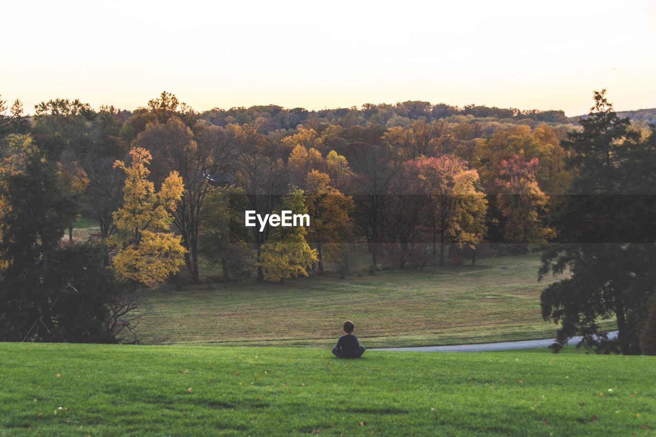 Boy sitting on grass at park during autumn