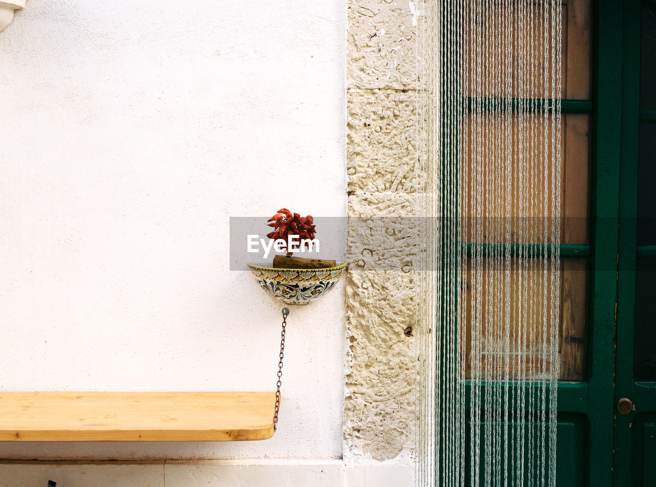 POTTED PLANTS ON WINDOW SILL