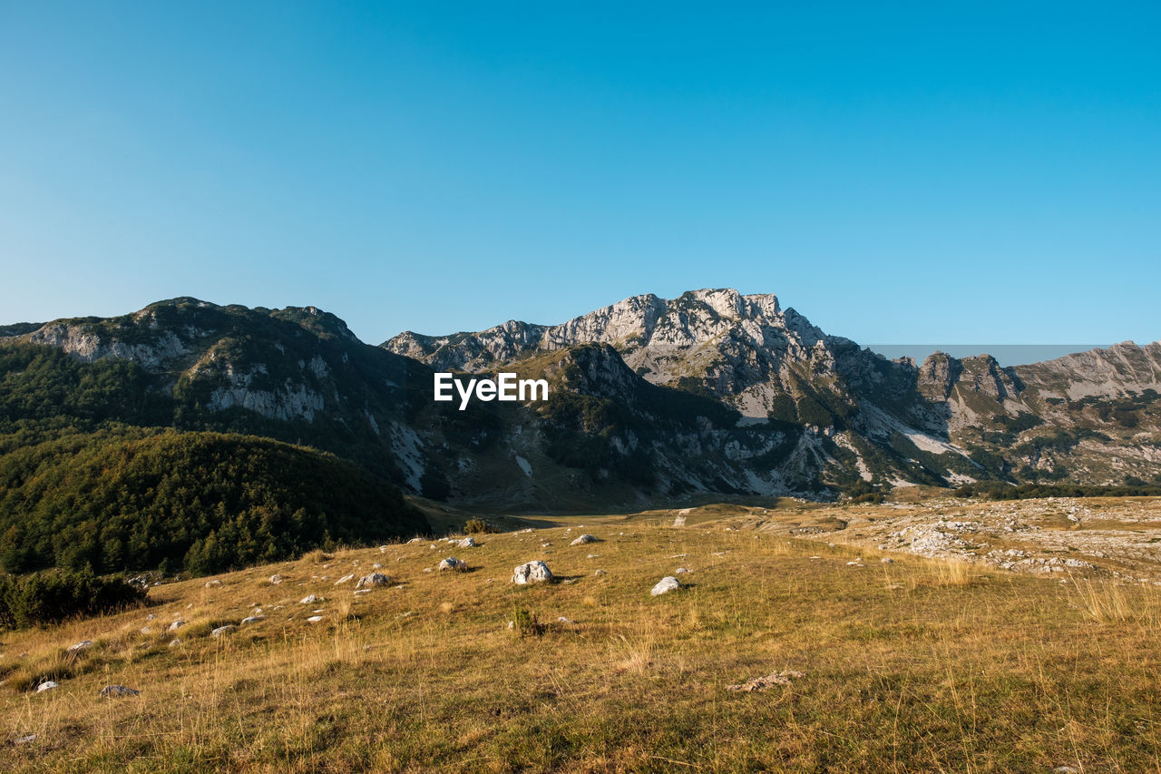 SCENIC VIEW OF LANDSCAPE AGAINST CLEAR SKY