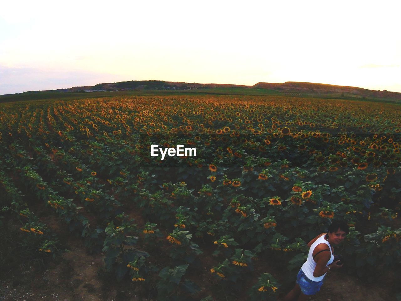 SCENIC VIEW OF FLOWERING PLANTS ON FIELD