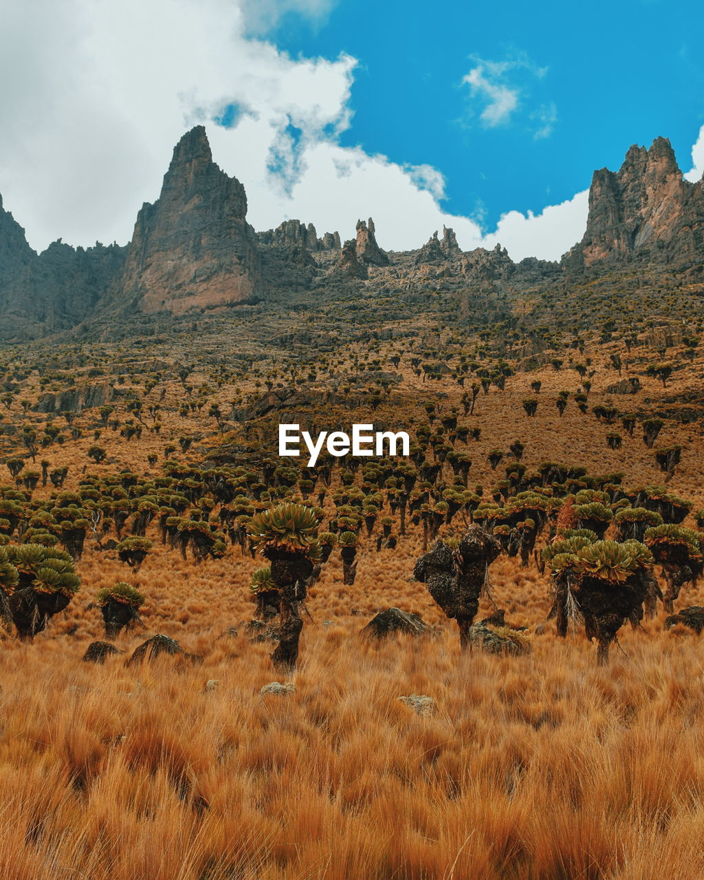 Scenic view of rocky mountains against sky, mount kenya, kenya 