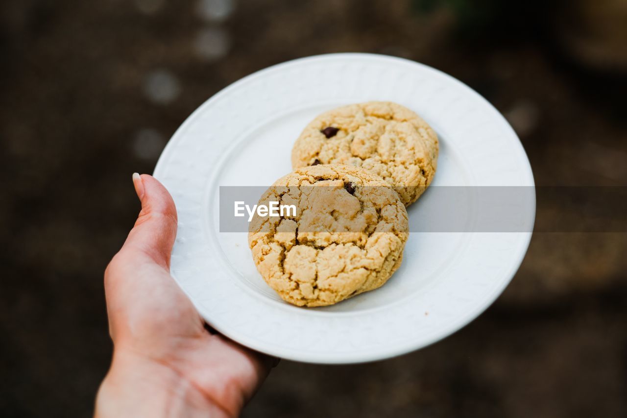 Cropped hand holding cookies in plate