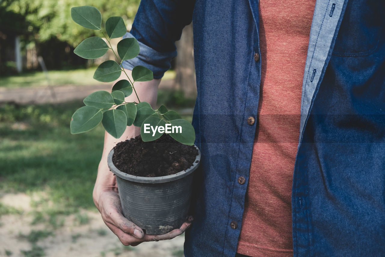 Close-up of man planting plant in park