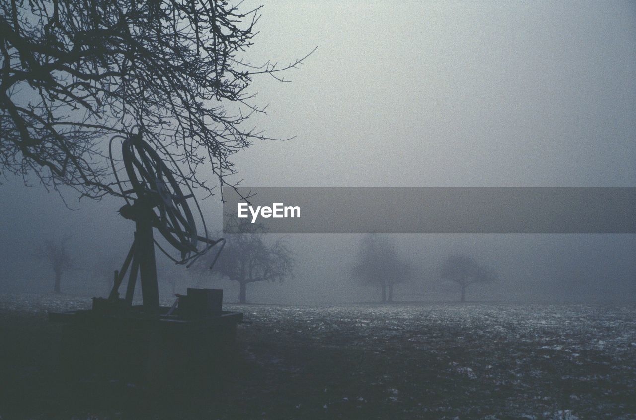 Bare trees on field against sky during foggy weather