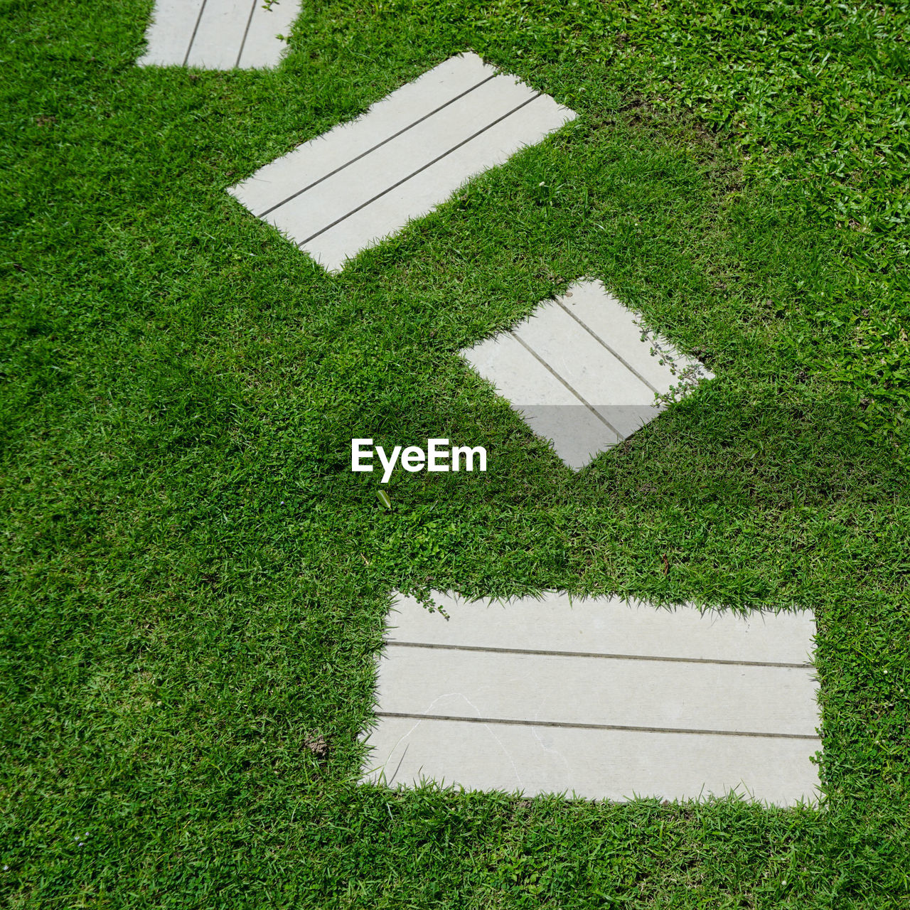 High angle view of lawn on field