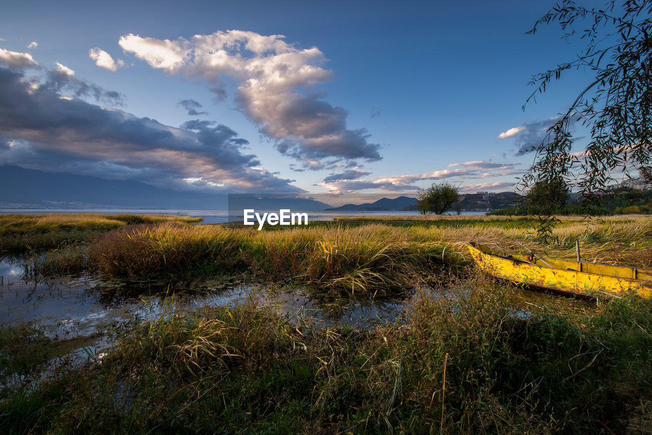 Wetlands and abandoned boat