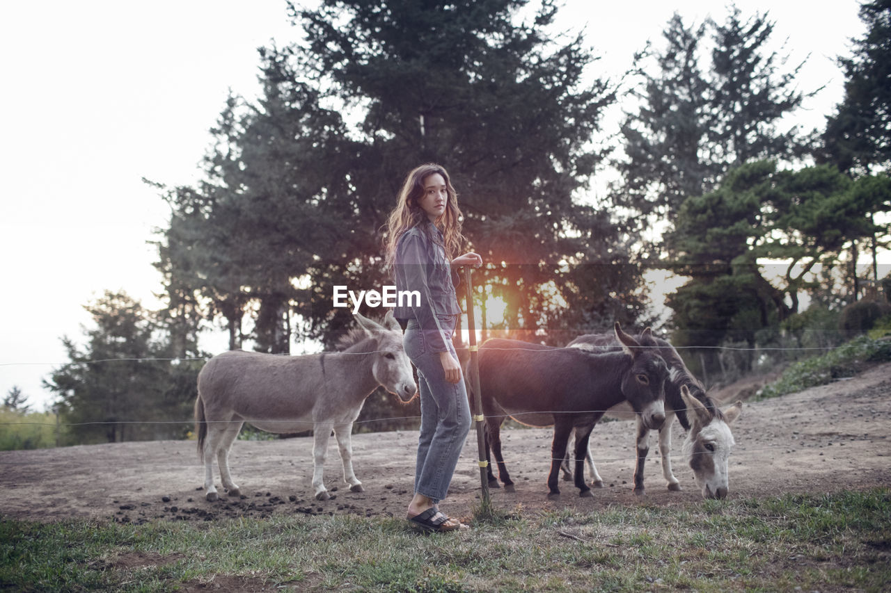 Portrait of woman with donkeys standing in farm