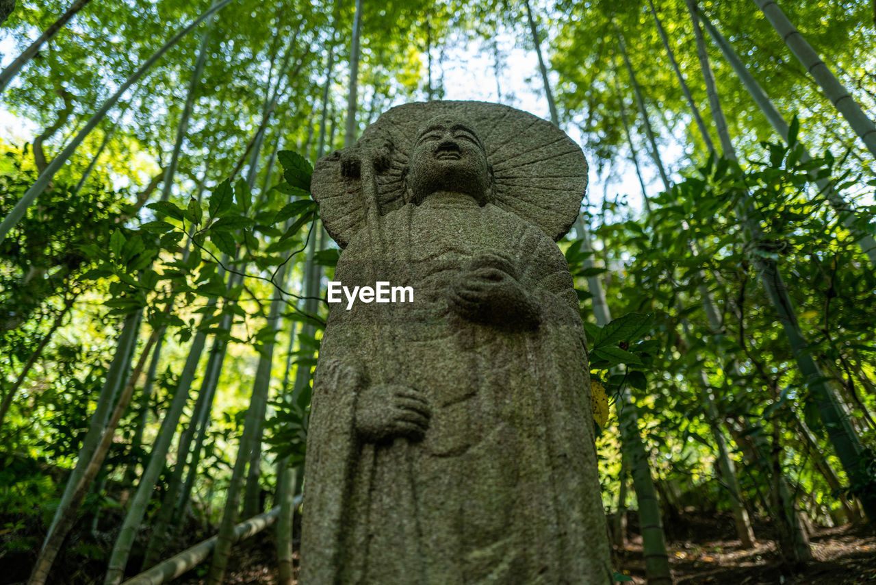 LOW ANGLE VIEW OF STATUE AGAINST TREE TRUNKS IN FOREST