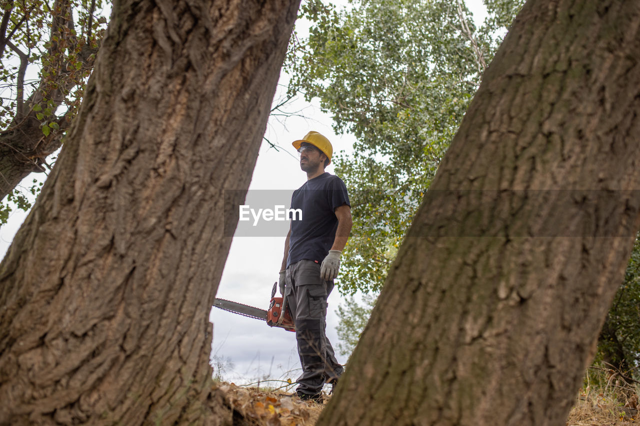 Low angle view of man holding chainsaw standing by tree trunk