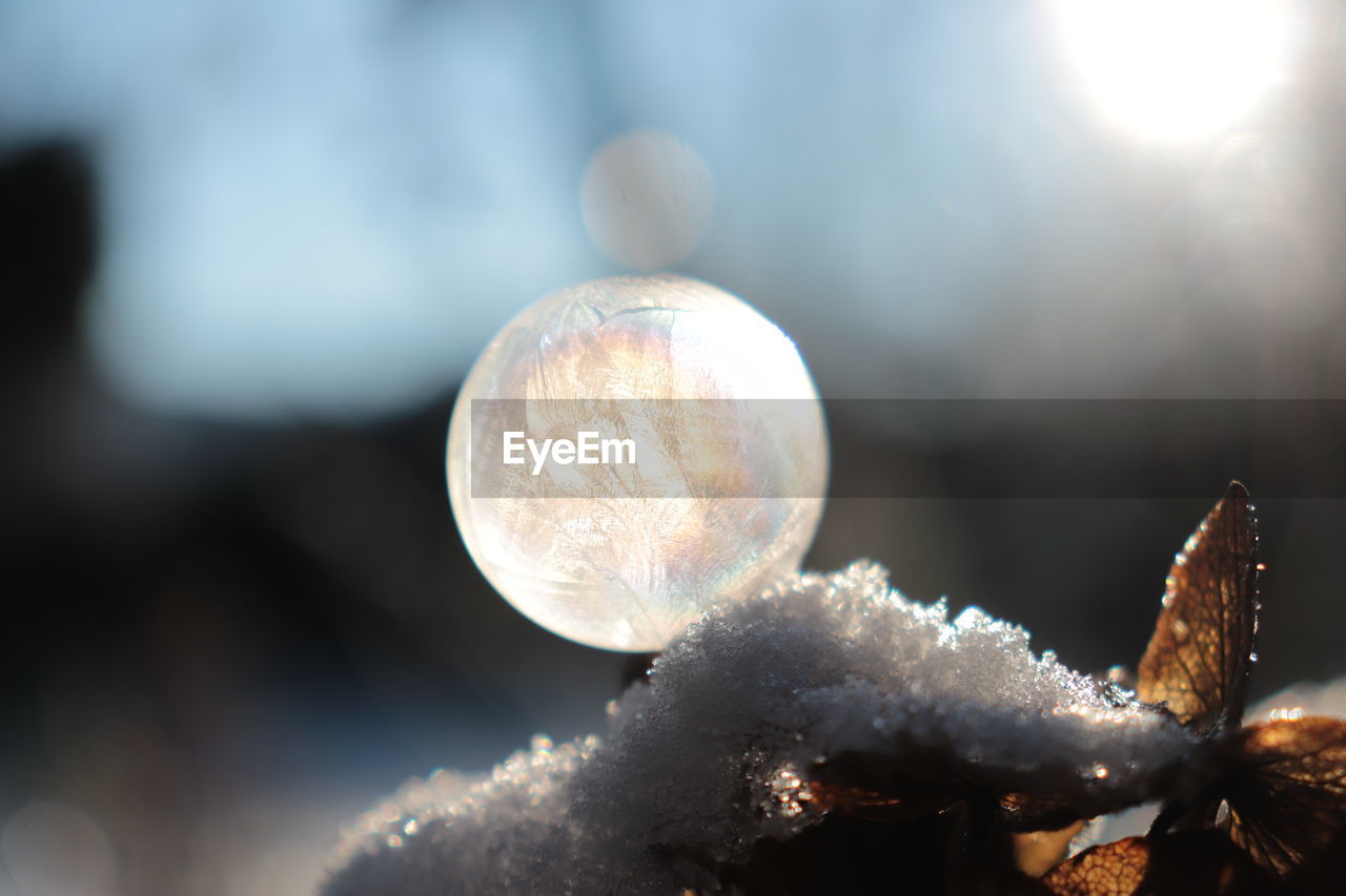 Close-up of frozen bubble