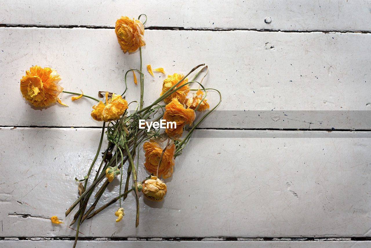 Directly above shot of wilted yellow flowers on table