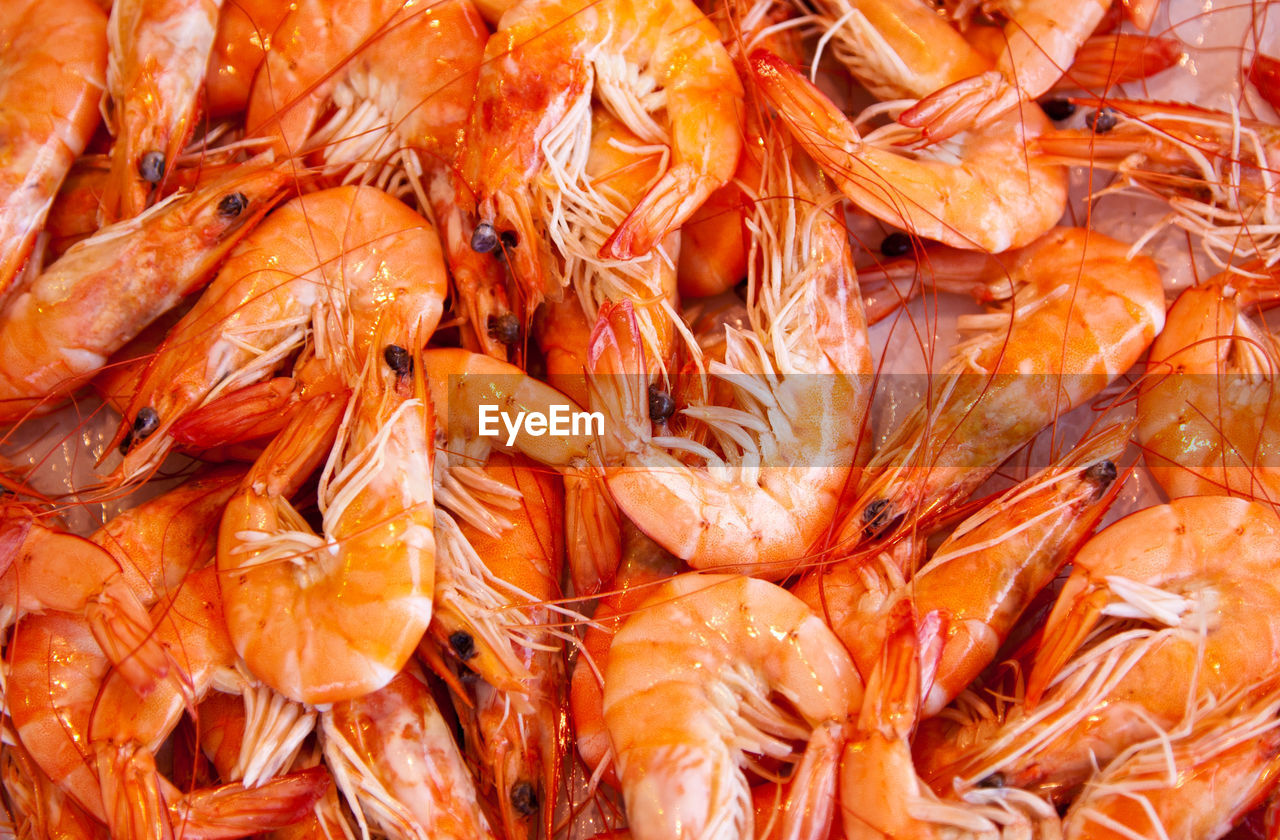 Full frame shot of prawns for sale at fish market