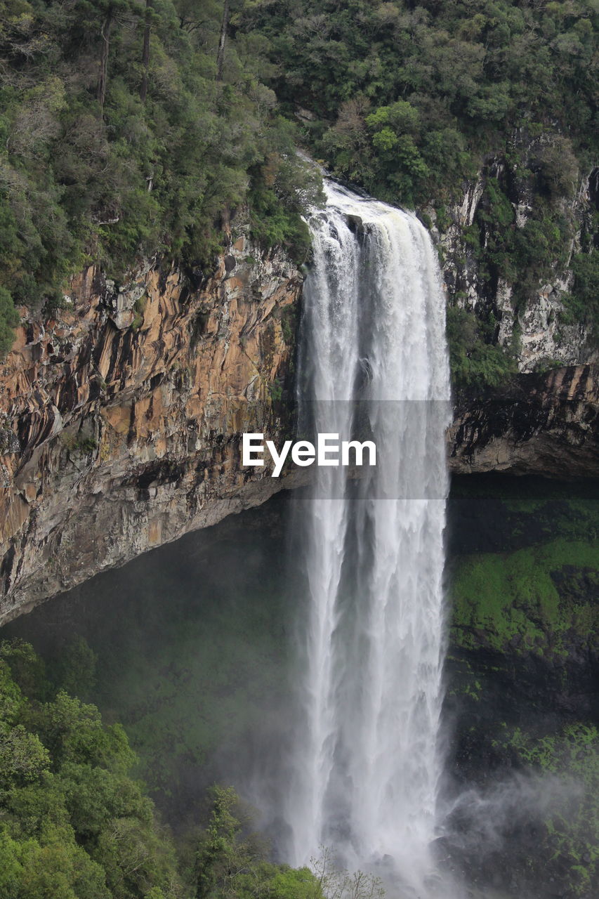 WATERFALL IN FOREST