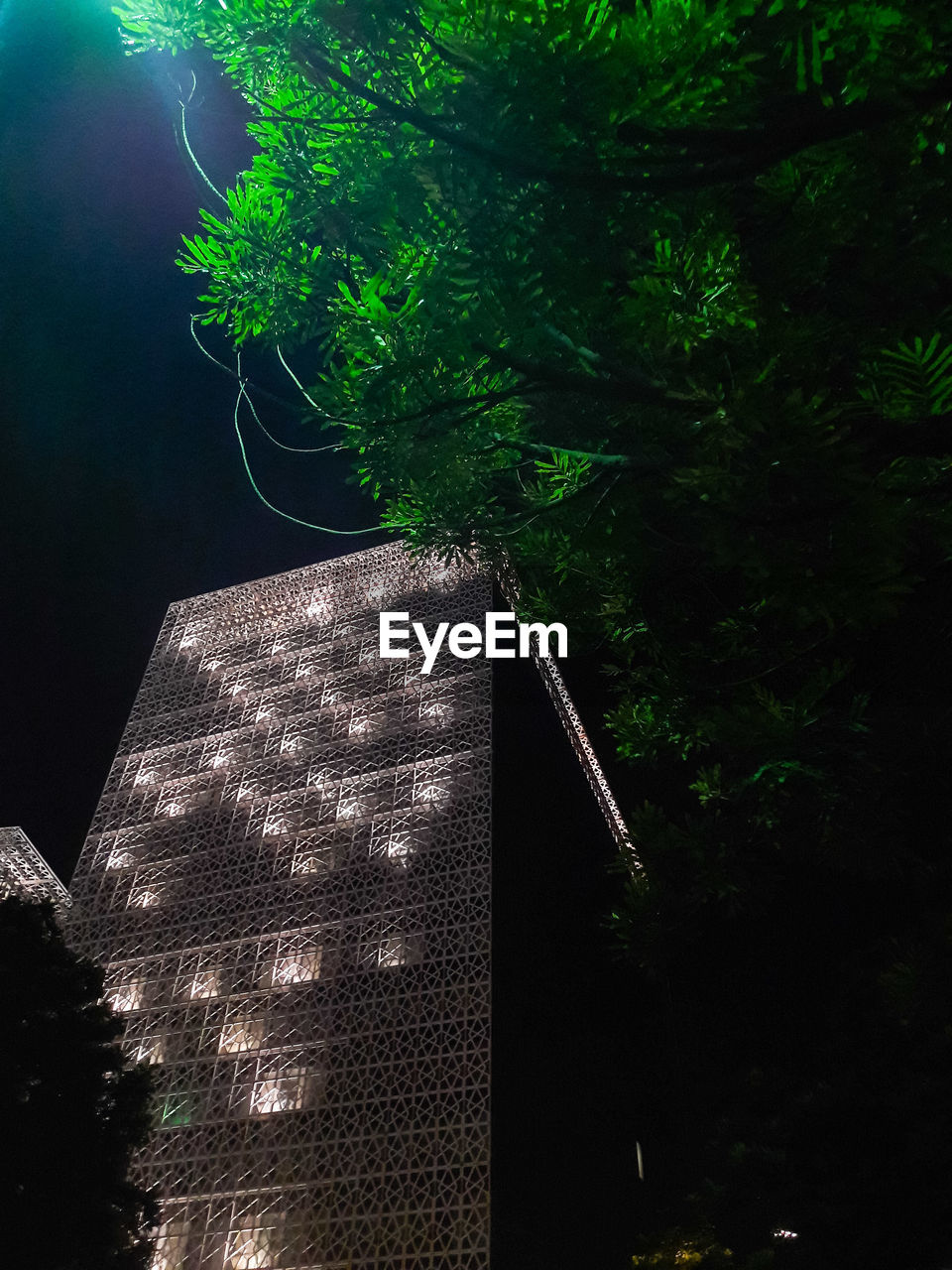 LOW ANGLE VIEW OF ILLUMINATED TREES AND BUILDING AT NIGHT