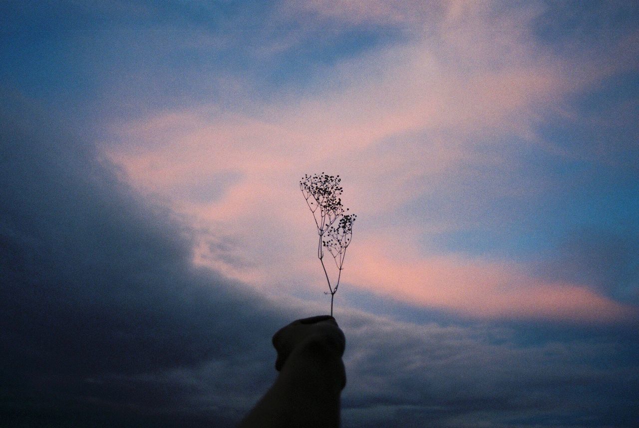 Low angle view of silhouette person holding camera against sky