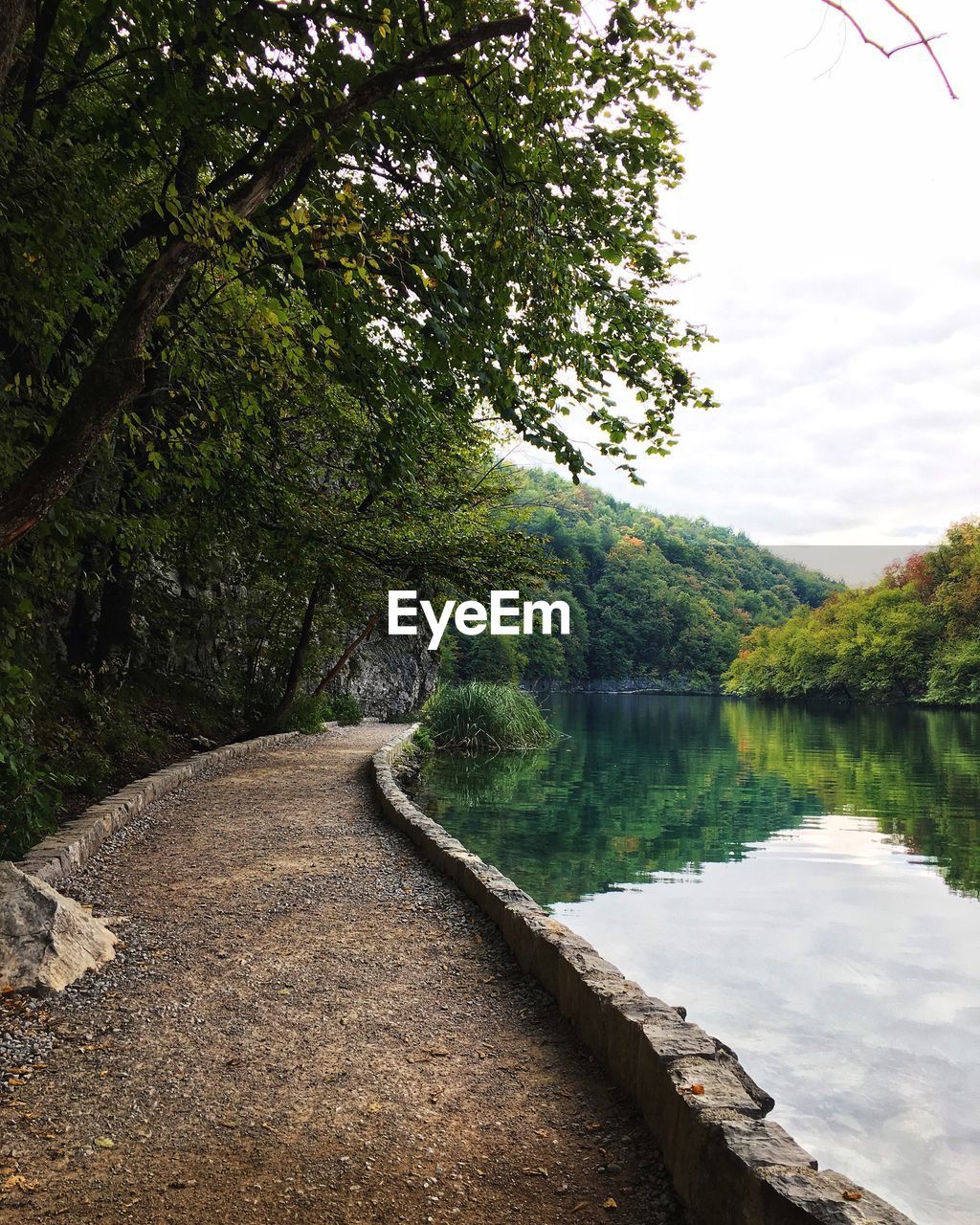 River amidst trees against sky