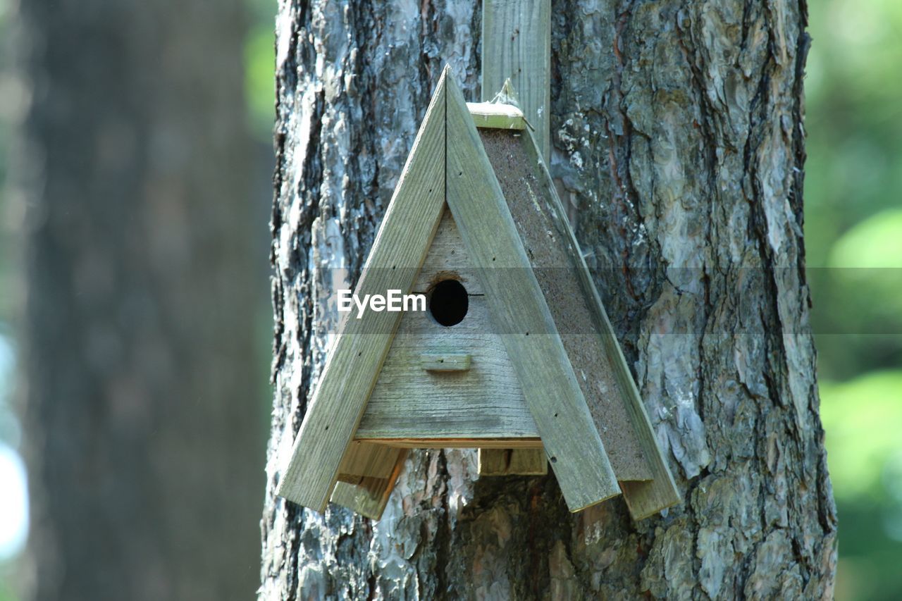 Close-up of birdhouse on tree trunk