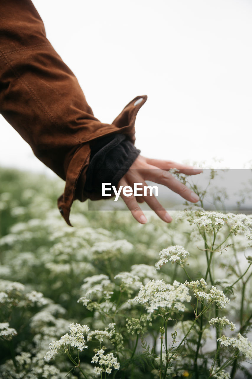 low section of woman holding flowers on field