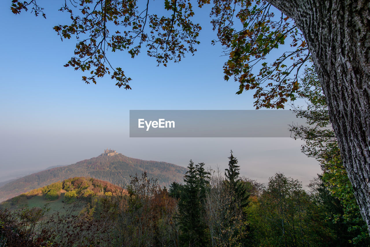 SCENIC VIEW OF MOUNTAIN AGAINST SKY