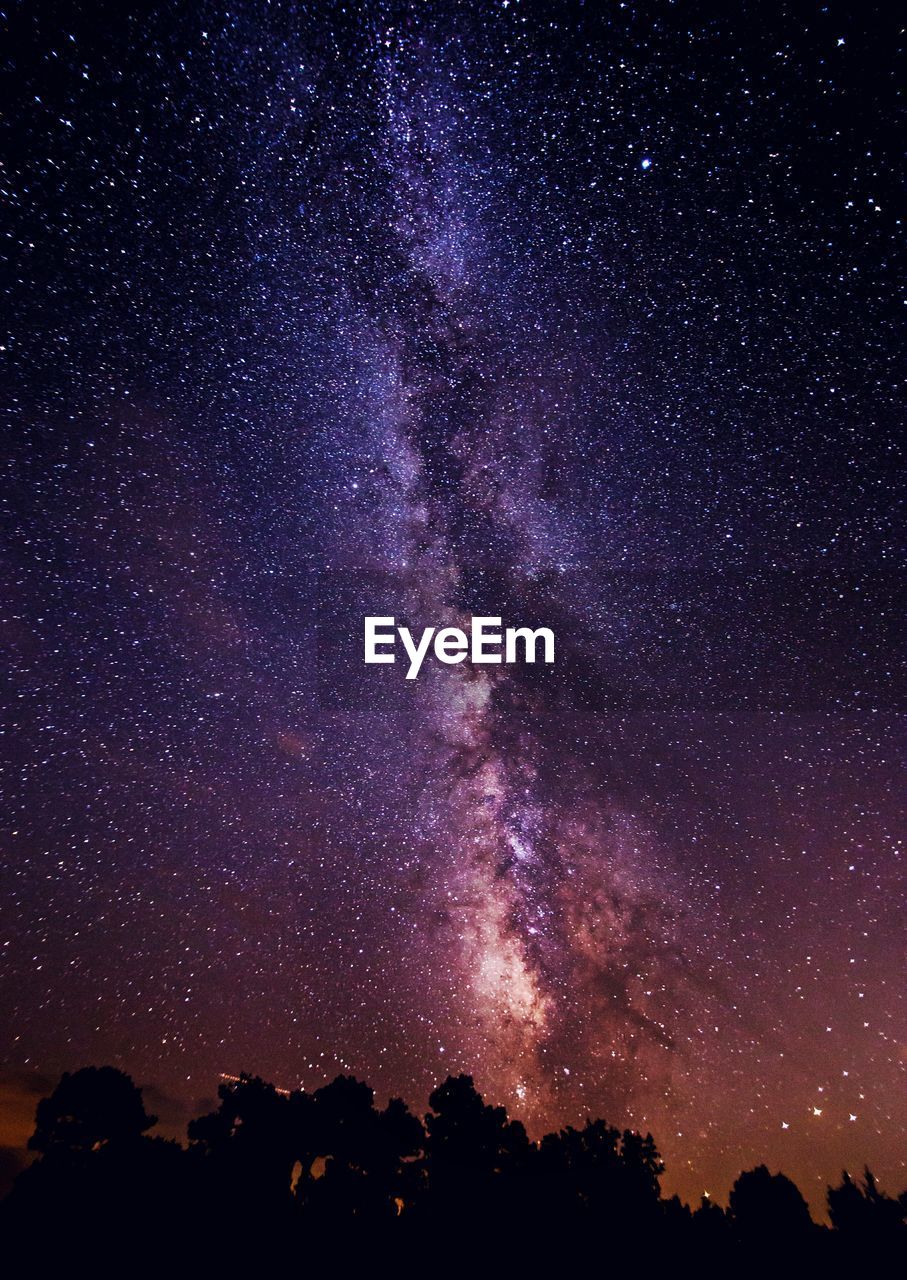 Silhouette of trees under starry sky