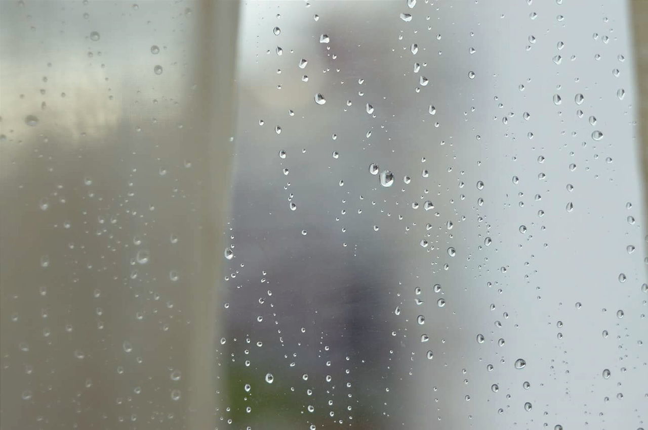 Close-up of wet window during rain