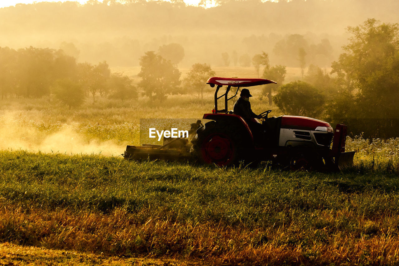 TRACTOR IN FIELD