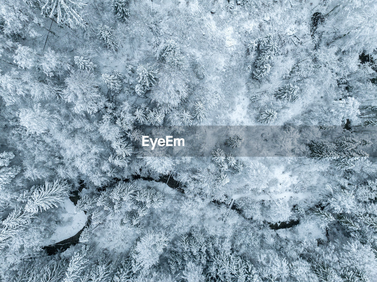 High angle view of snow covered trees in winter in rural landscape