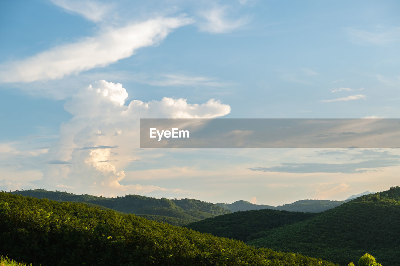 SCENIC VIEW OF TREES AND MOUNTAINS AGAINST SKY