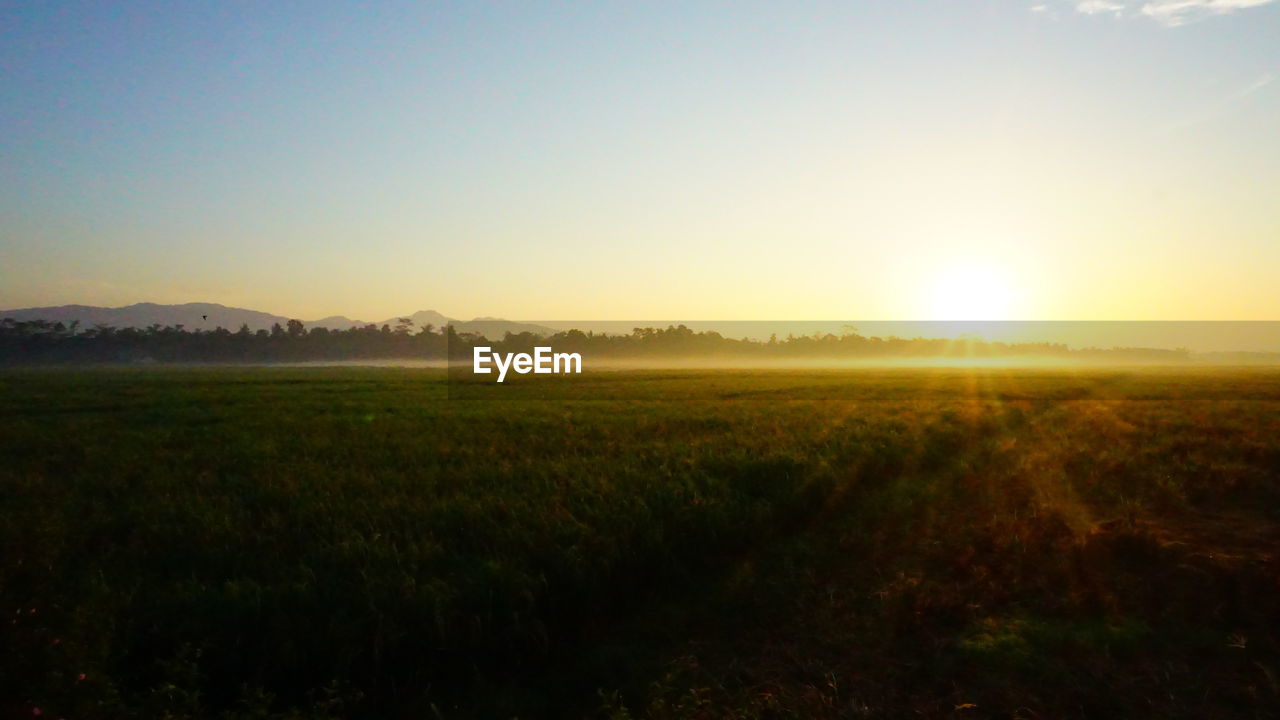 SCENIC VIEW OF FIELD AGAINST SKY AT SUNSET