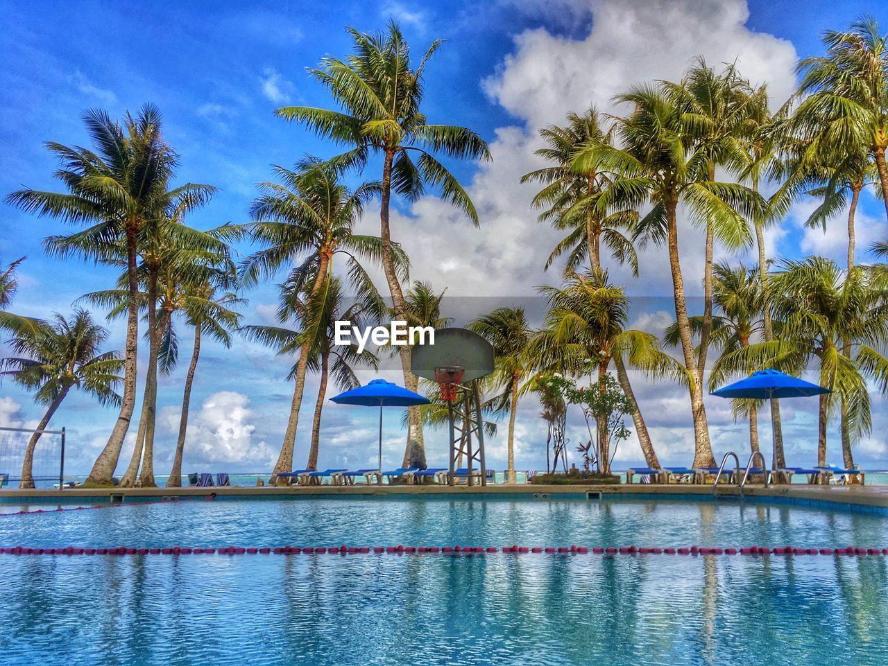 Palm trees by swimming pool against sky