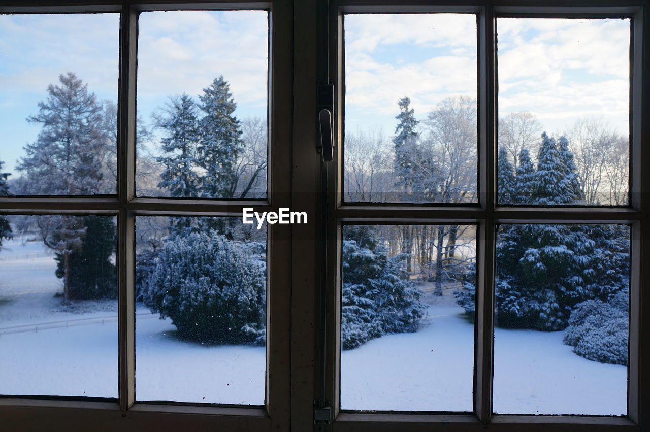 Snowy trees seeing through window 