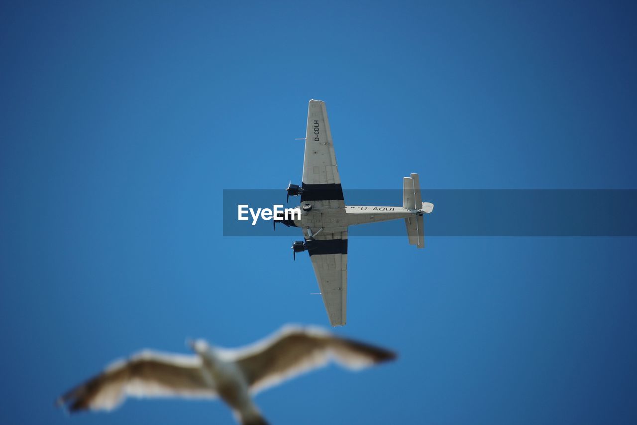 LOW ANGLE VIEW OF AIRPLANE FLYING AGAINST BLUE SKY