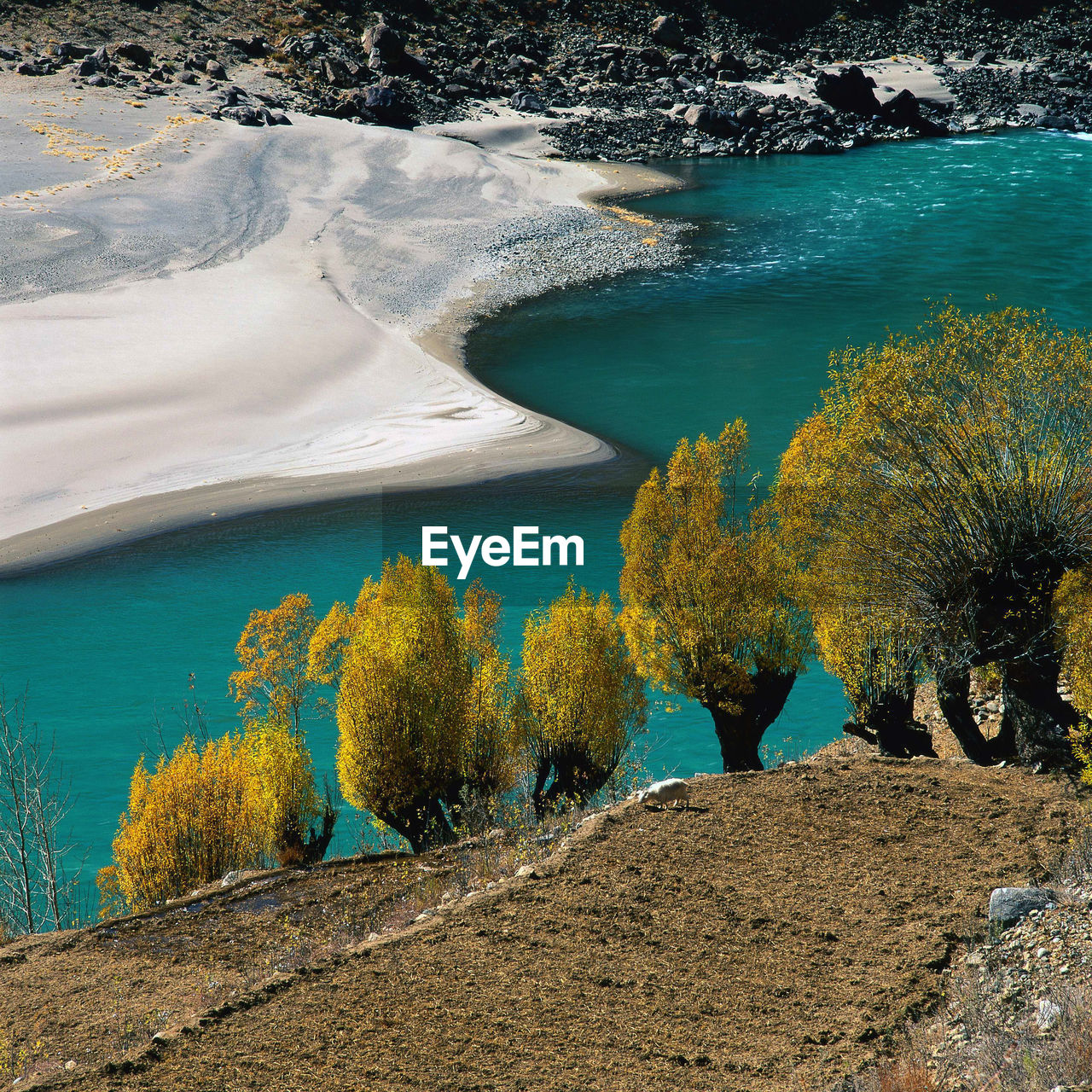 High angle view of trees by sea