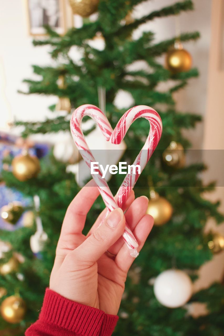 Cropped hand of woman holding candy canes in heart shape against christmas tree