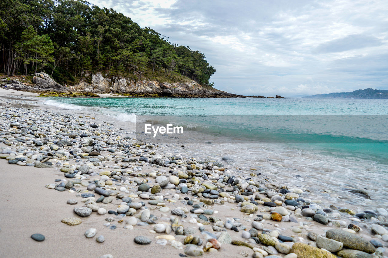 SCENIC VIEW OF BEACH