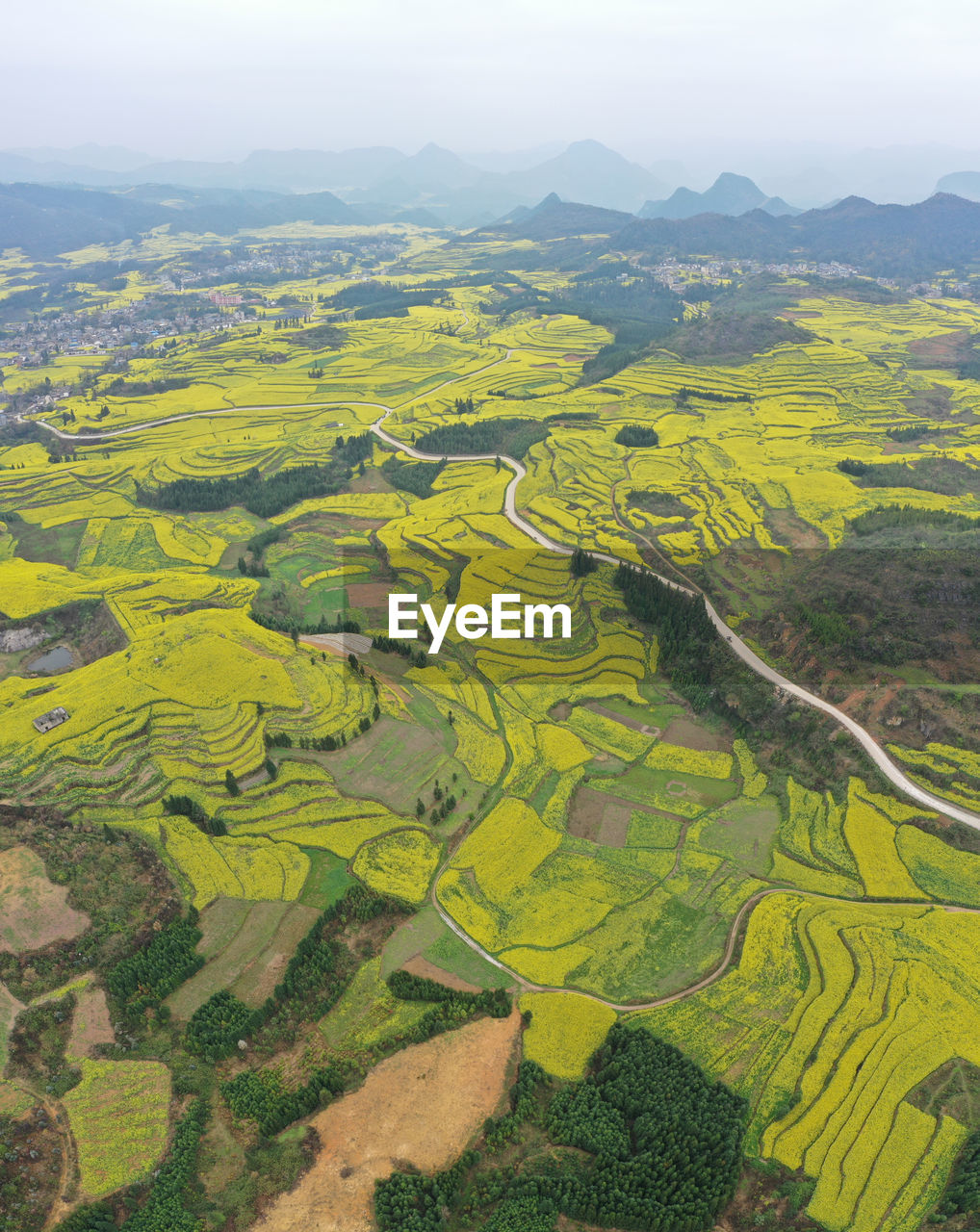 Aerial view of rapeseed flowers in luoping, yunnan - china